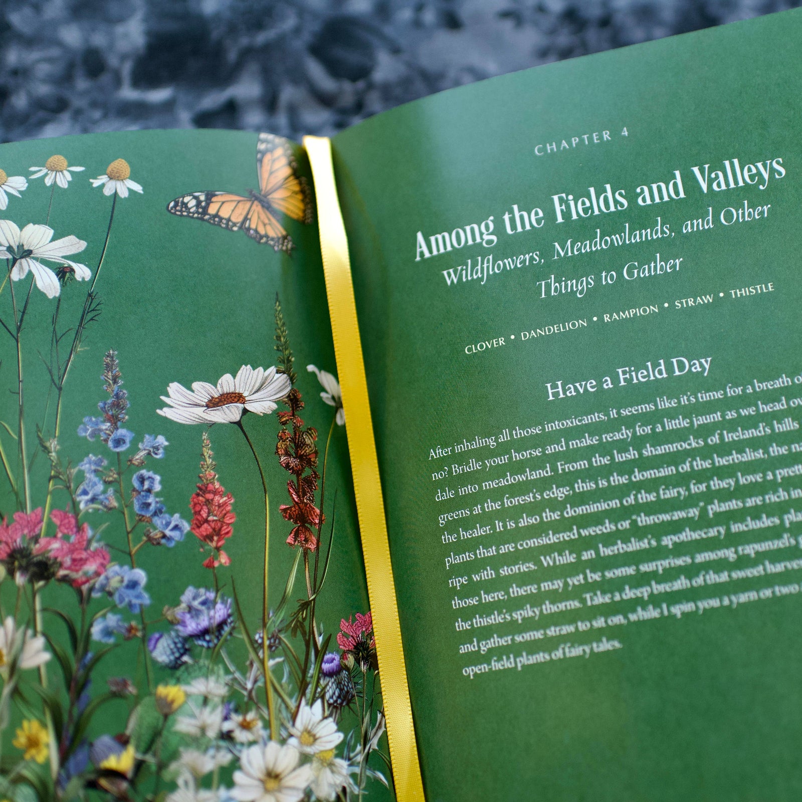 Enchanted Plants: A Treasury of Botanical Folklore and Magic