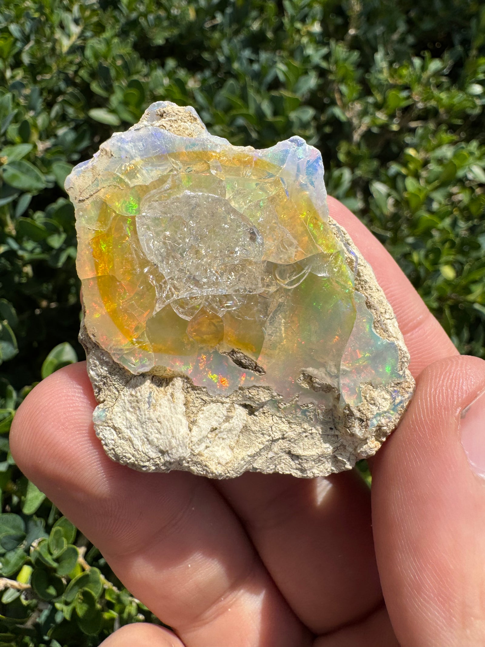 Ethiopian Welo Opal – 170 ct Natural Specimen