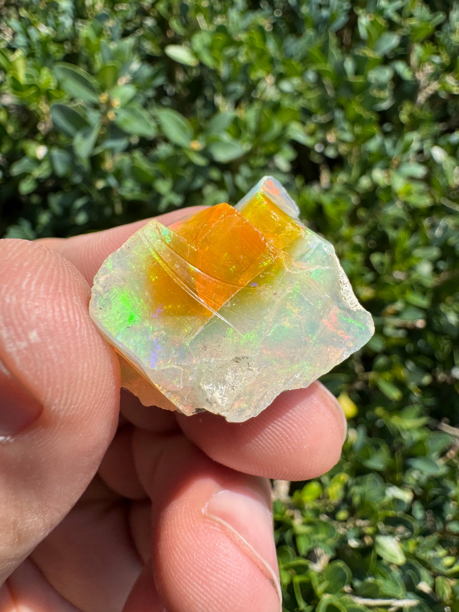 Ethiopian Welo Opal Specimen – Natural Rainbow Play-of-Color | 52.53 ct Genuine Welo Opal from Ethiopia