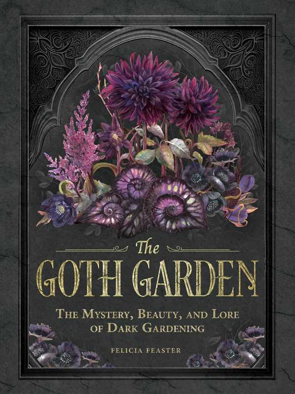 The Goth Garden – Dark Botanical Lore, Gothic Plants & Enchanting Garden Inspiration