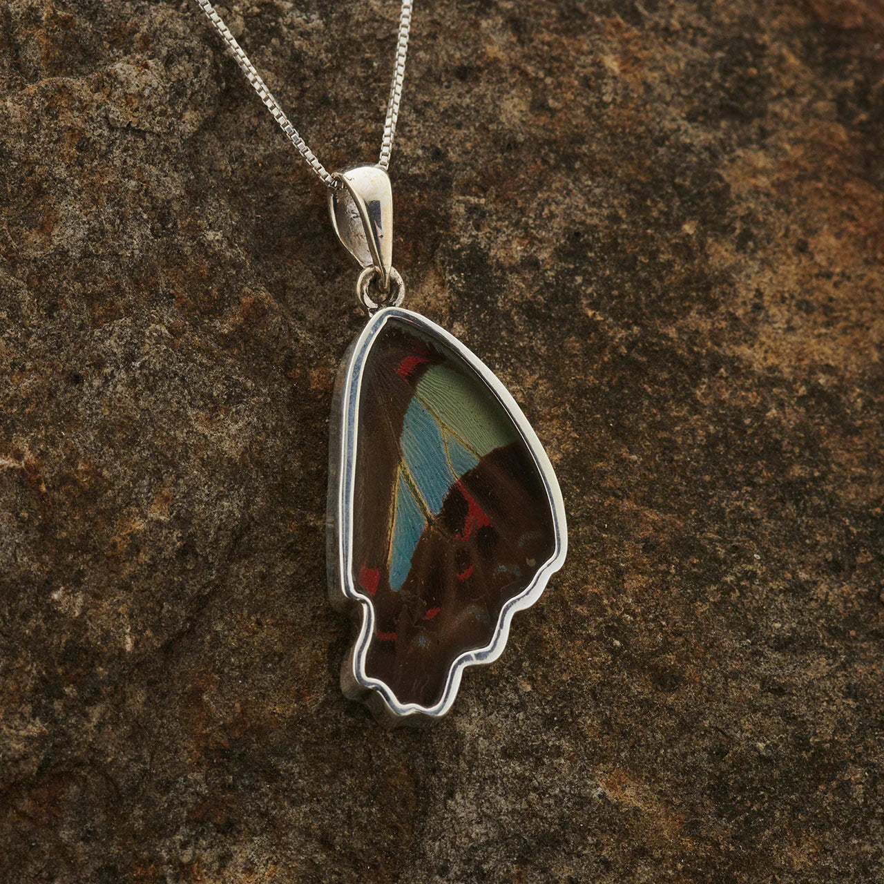 Blue Bottle Butterfly Wing Fine Silver Pendant