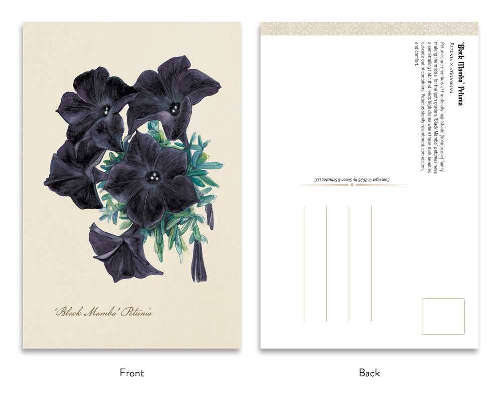 Goth Garden: Dark Blooms by Felicia Feaster
