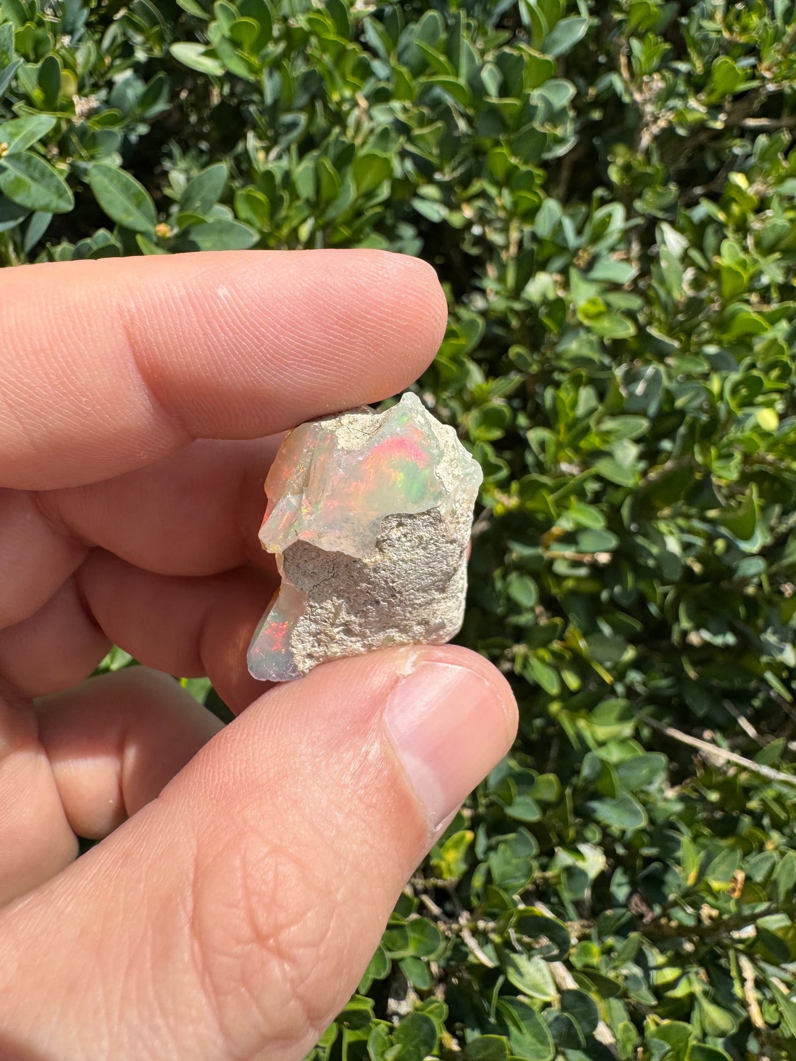 Ethiopian Welo Opal Specimen – Natural Rainbow Play-of-Color | 52.53 ct Genuine Welo Opal from Ethiopia