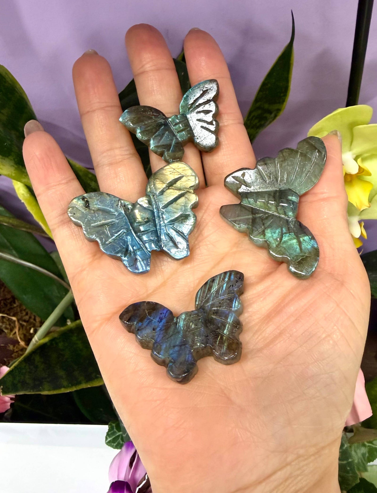 Labradorite Butterfly Carving Natural Crystal Healing Energy