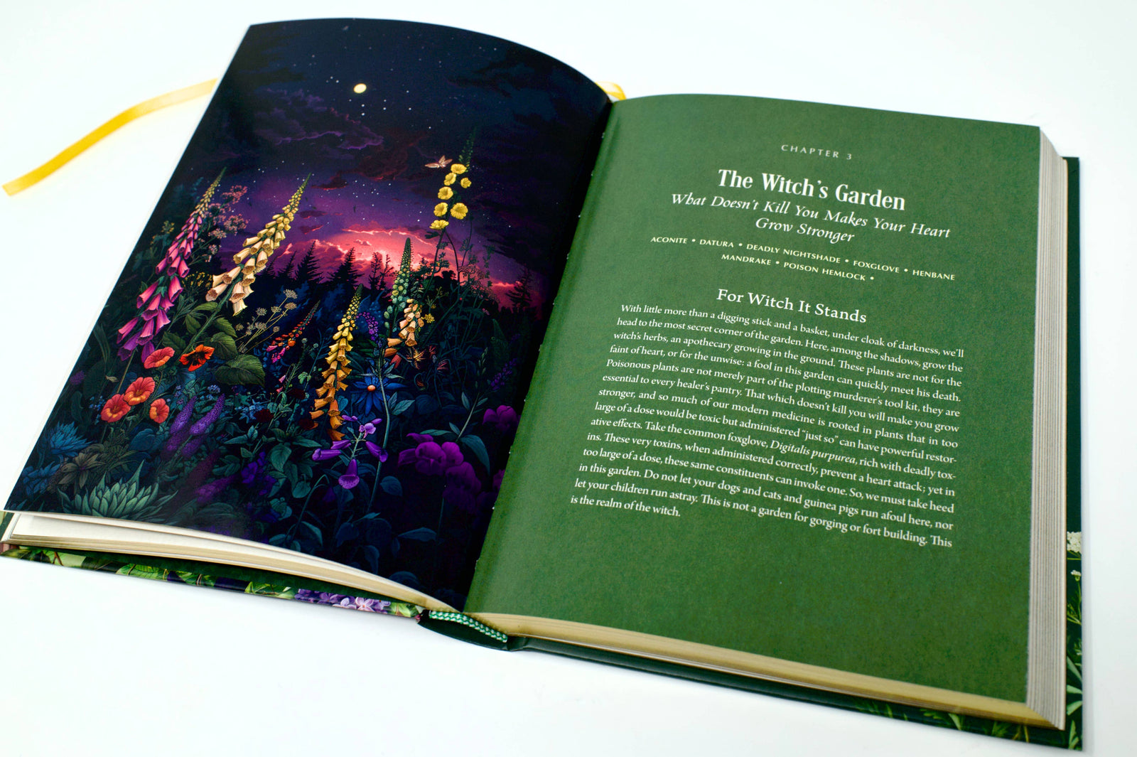 Enchanted Plants: A Treasury of Botanical Folklore and Magic