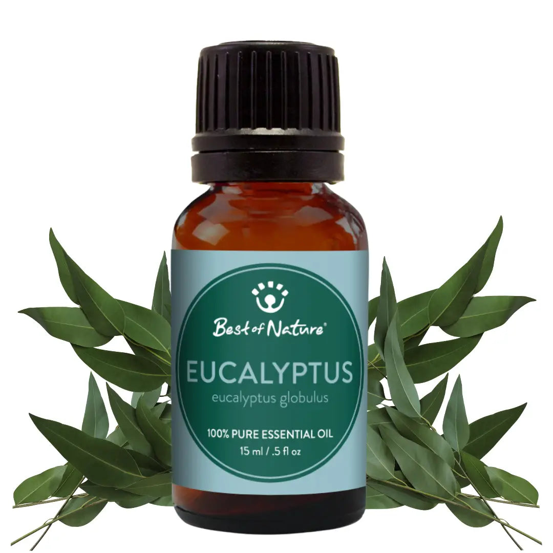 Eucalyptus Essential Oil