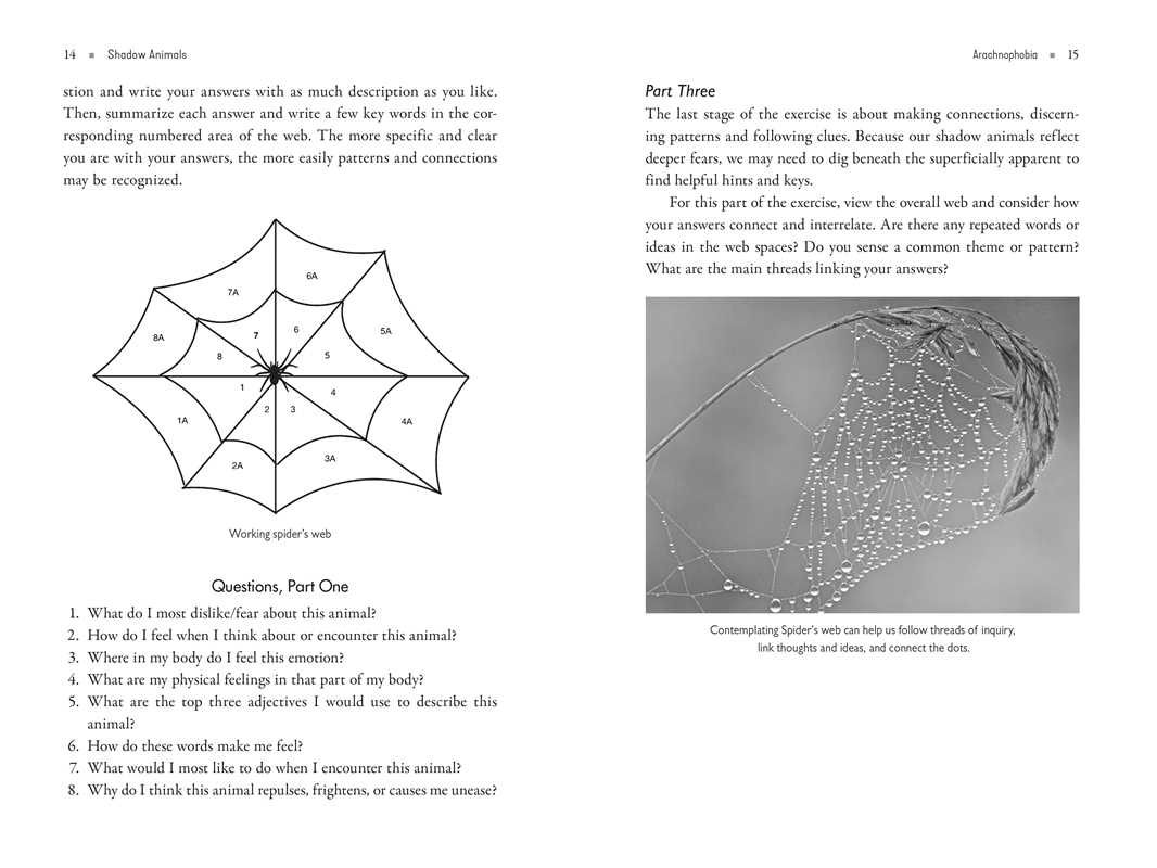 Shadow Animals – Animal Spirit Guides, Shadow Work & Transformative Healing