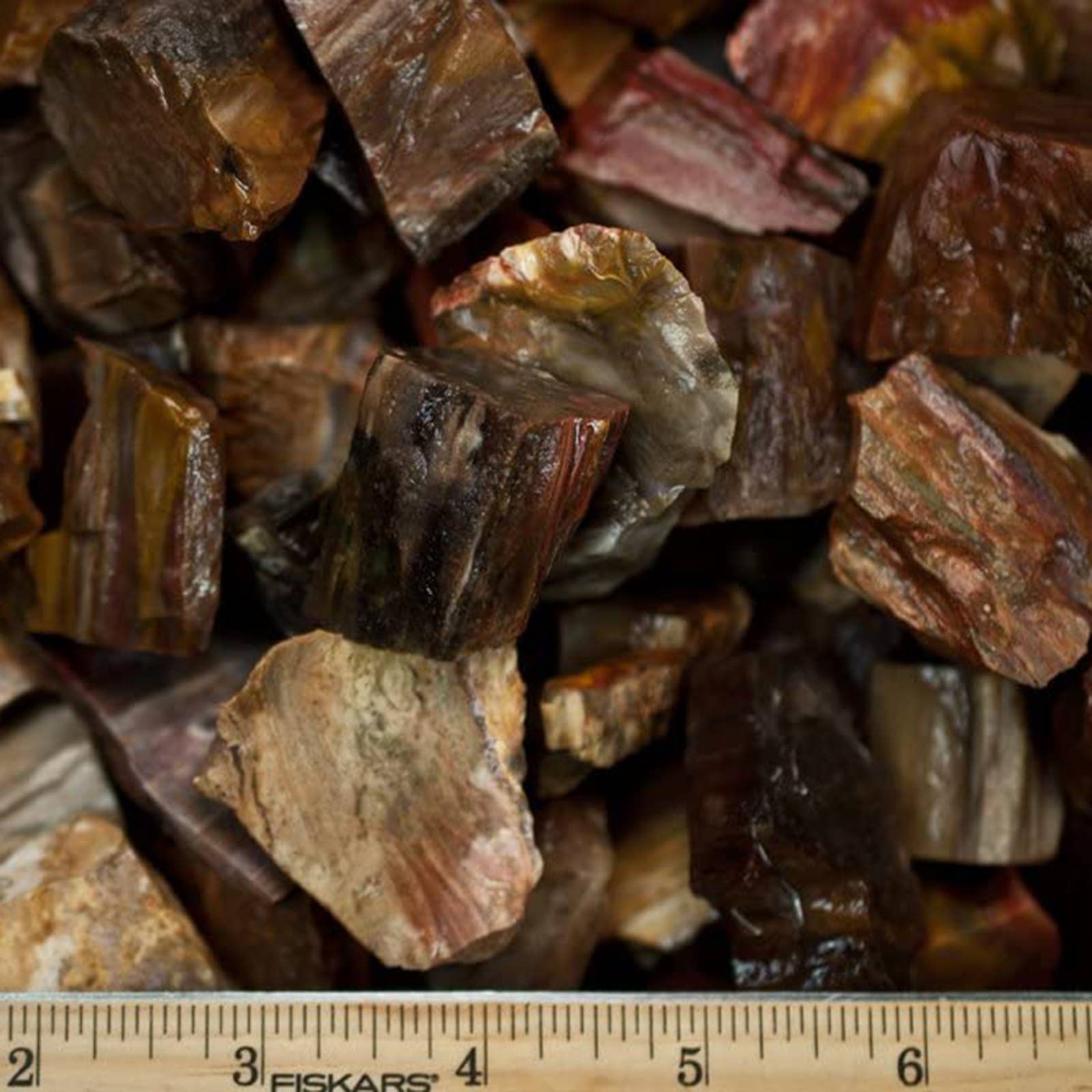 Petrified Wood Natural Gemstone