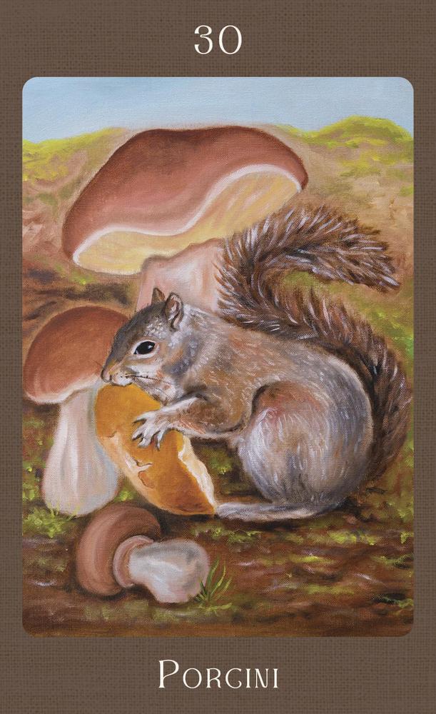 Mushroom Folk Oracle – Gentle Wisdom from the Forest Floor