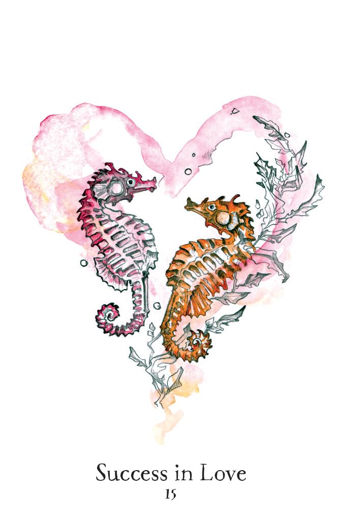 Seaborn Kipper: Divination Cards