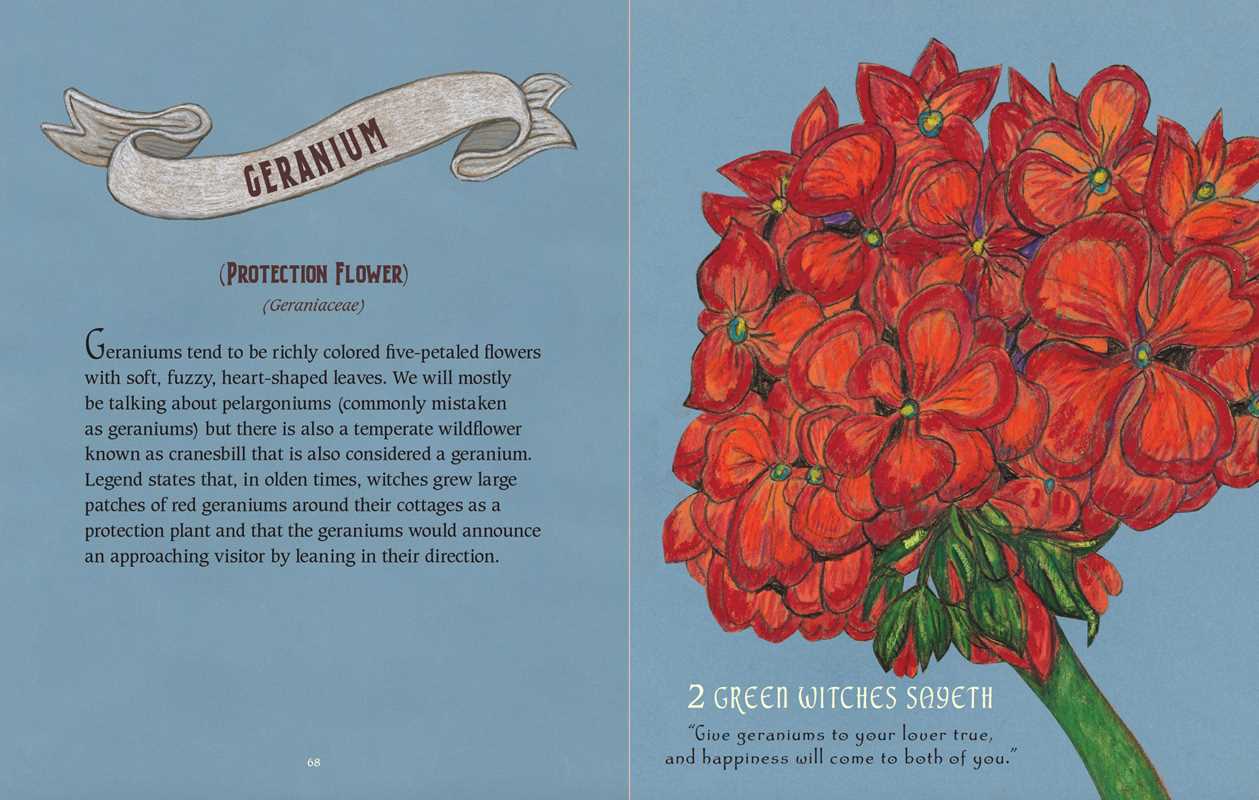 Green Witch's Guide to Magical Plants & Flowers by Chris Young