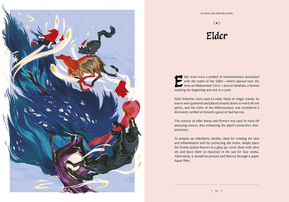 Celtic Folk Magic by Giulia Manzi