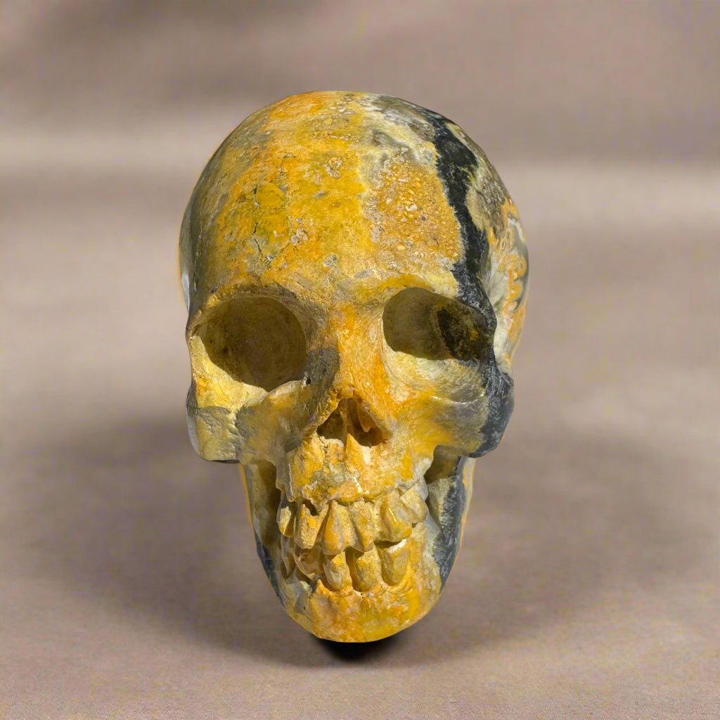 Bumblebee Jasper Natural Crystal Skull 3"