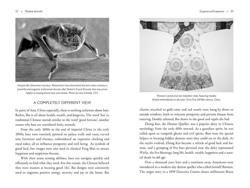 Shadow Animals – Animal Spirit Guides, Shadow Work & Transformative Healing