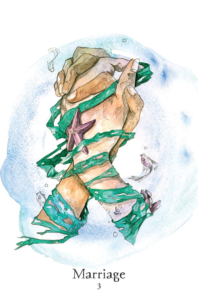 Seaborn Kipper: Divination Cards