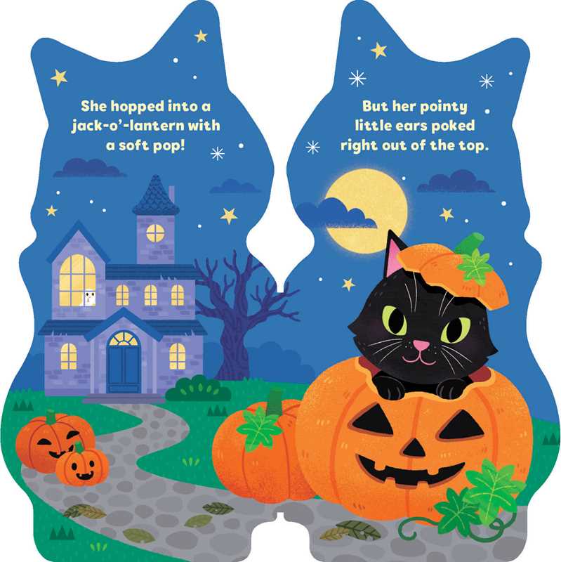 Little Cat by Maggie Fischer