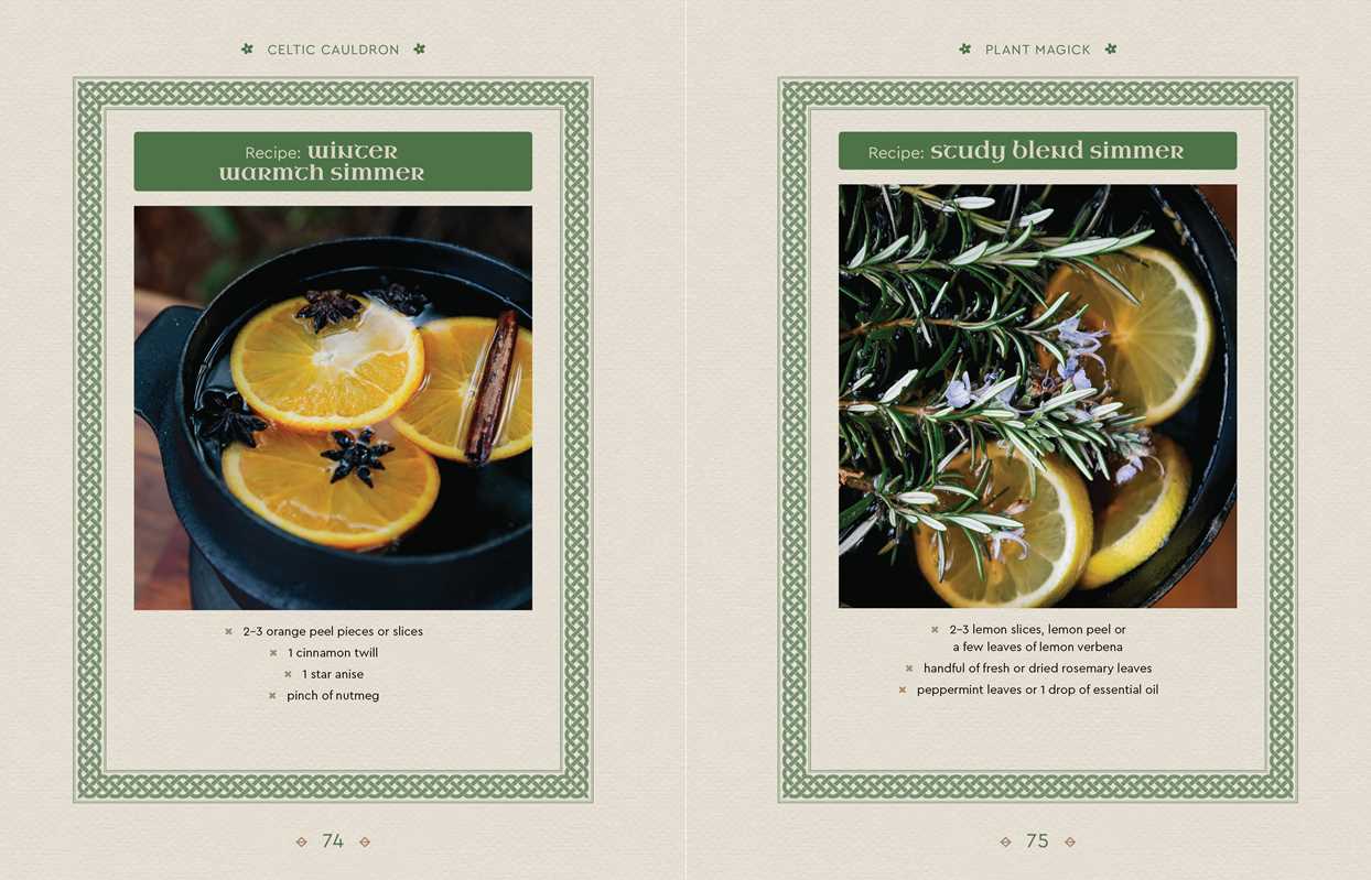 Celtic Cauldron by Nicola McIntosh