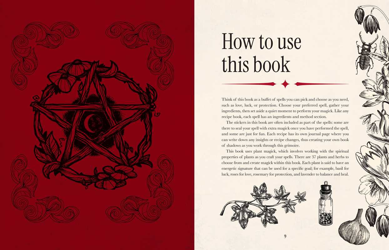 Witch’s Magickal Spellbook – Create Charms, Potions & Plant Magic for Love, Luck & Renewal