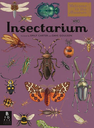 Insectarium: A Captivating Illustrated Guide to the World of Bugs