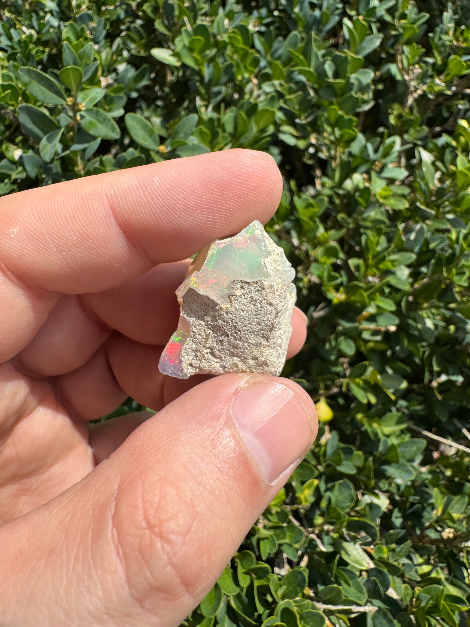 Ethiopian Welo Opal Specimen – Natural Rainbow Play-of-Color | 52.53 ct Genuine Welo Opal from Ethiopia