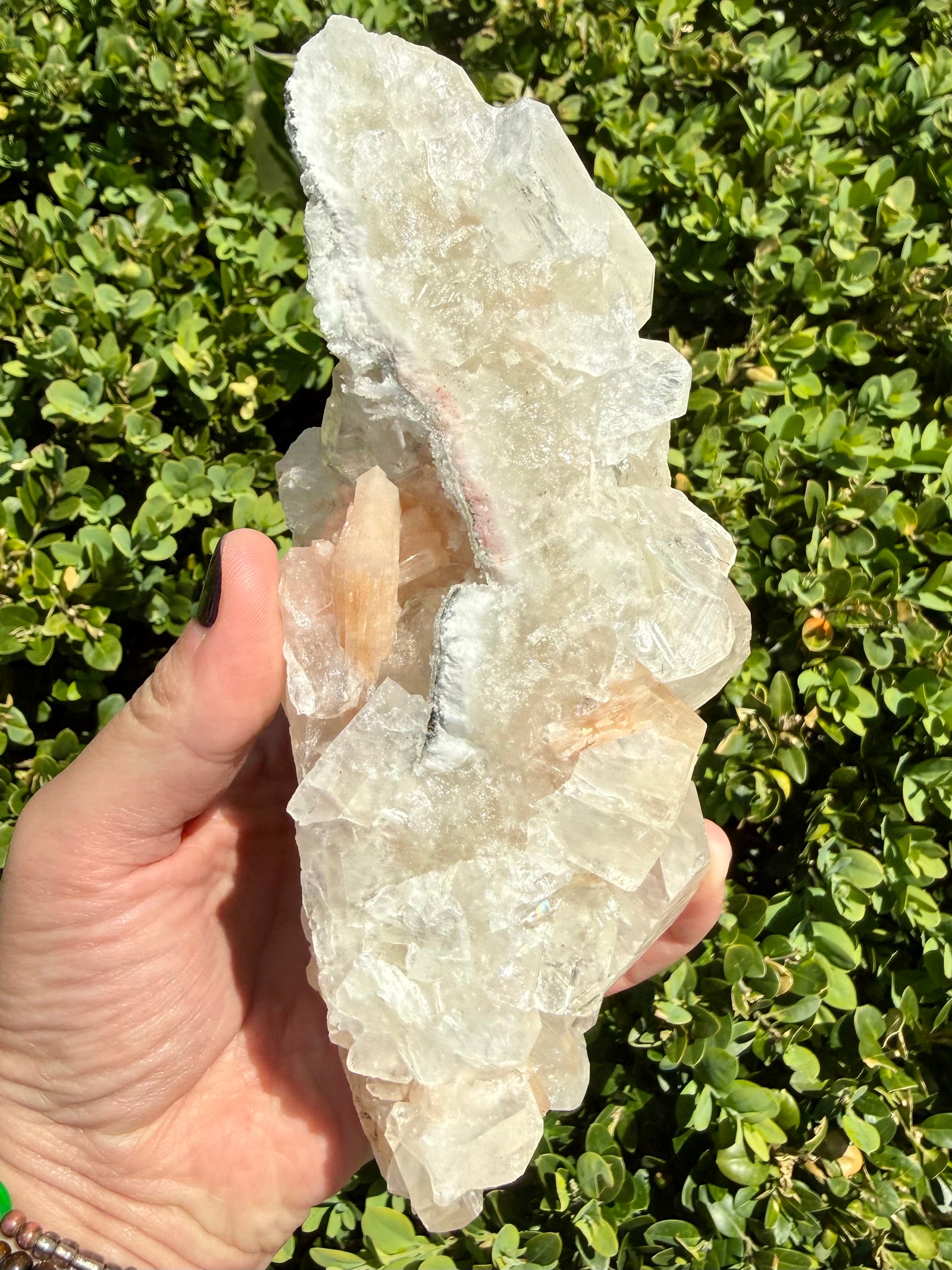 Apophyllite with Stilbite Natural Gemstone Specimen