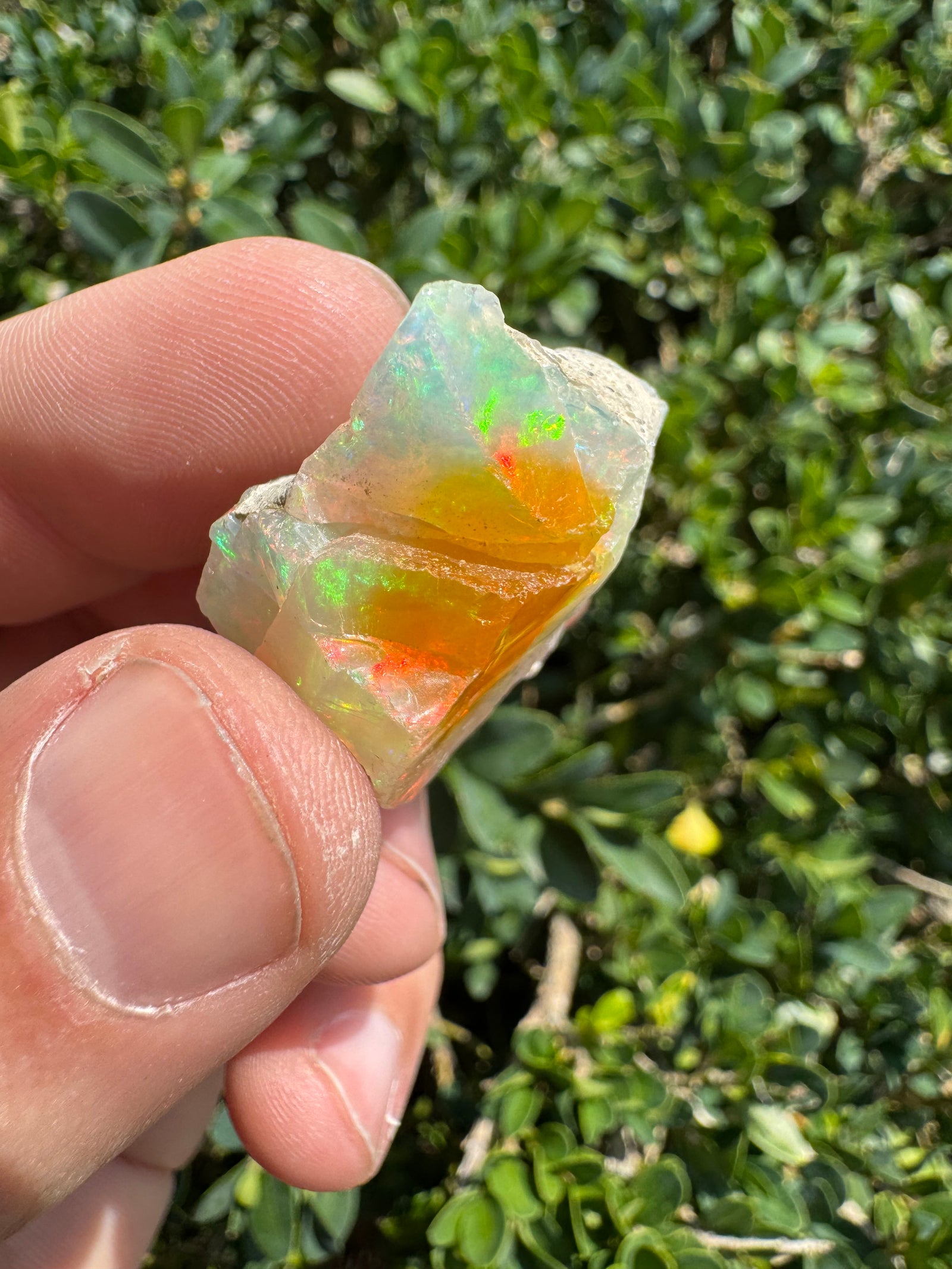 Ethiopian Welo Opal Specimen – Natural Rainbow Play-of-Color | 52.53 ct Genuine Welo Opal from Ethiopia