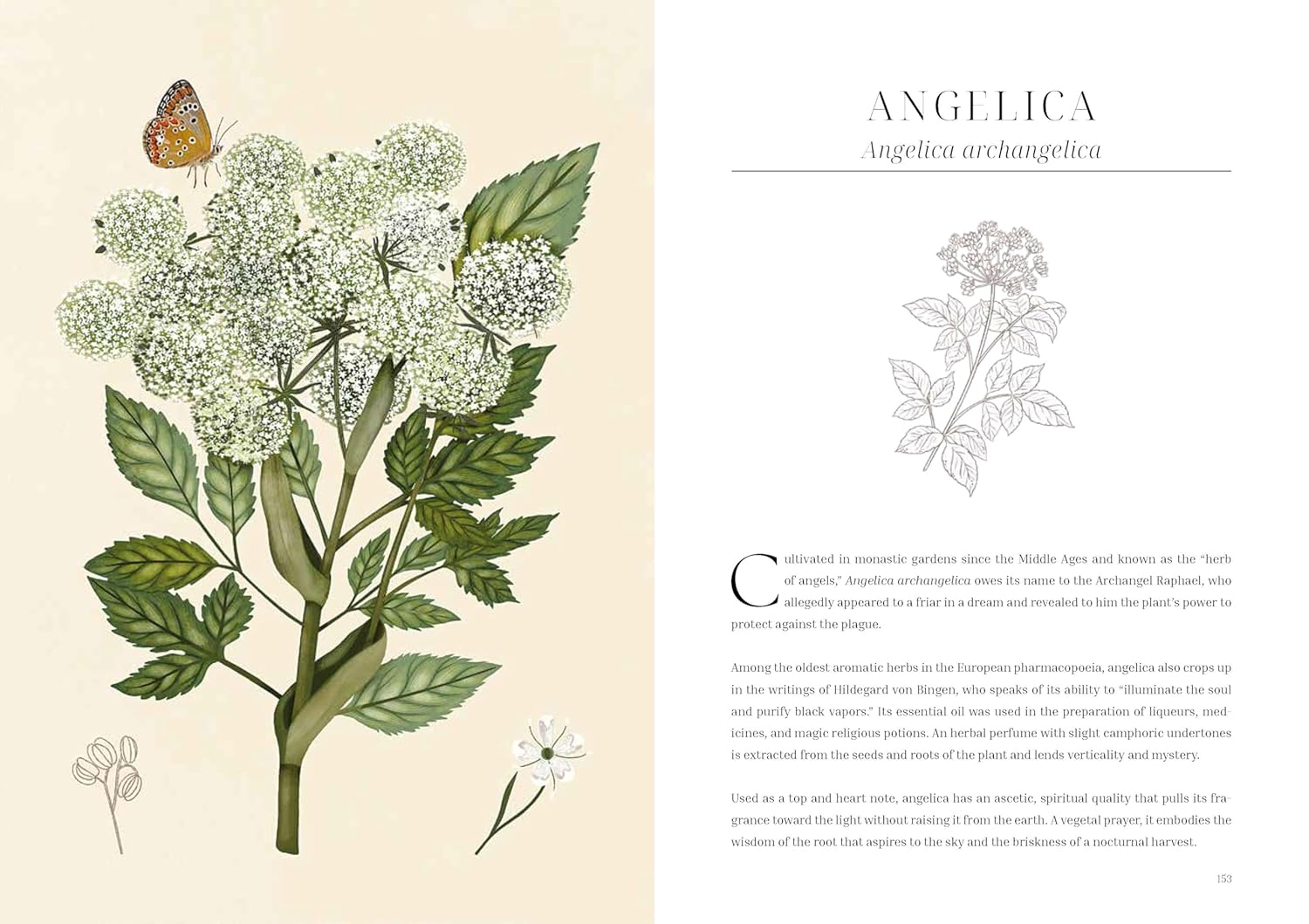 Olfactory Code: Unveiling the Alchemy of Botanical Perfumery