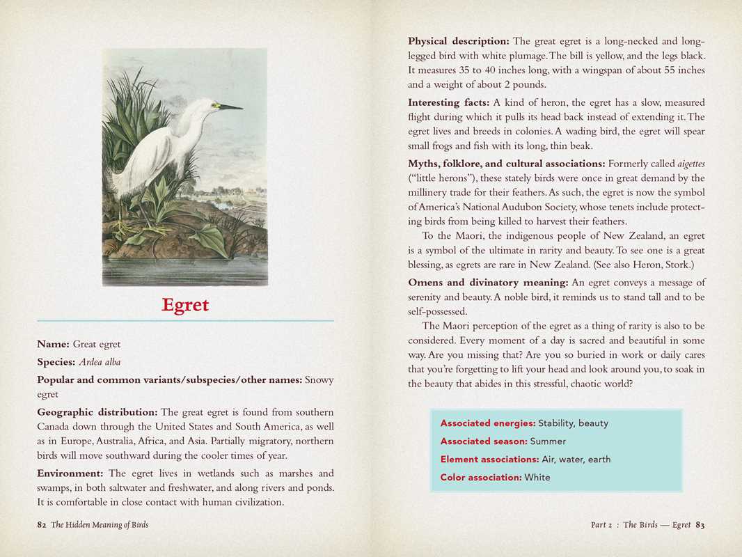 The Hidden Meaning of Birds – Discover Spiritual Signs, Bird Symbolism & Divine Messages
