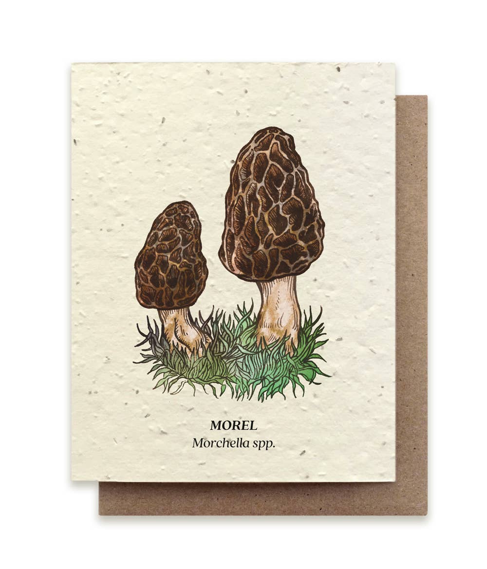 Morel Mushroom Greeting Card - Plantable Seed Paper