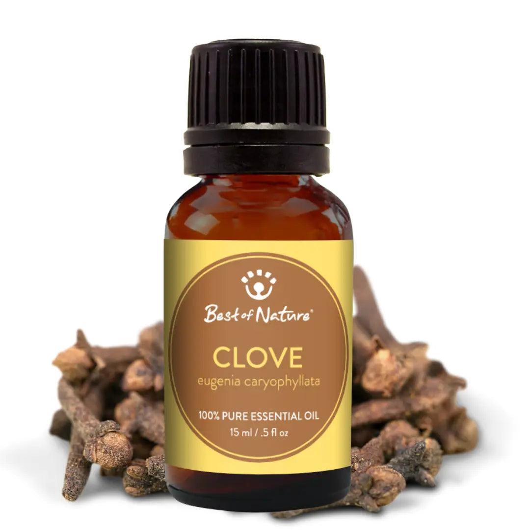Clove Bud Essential Oil