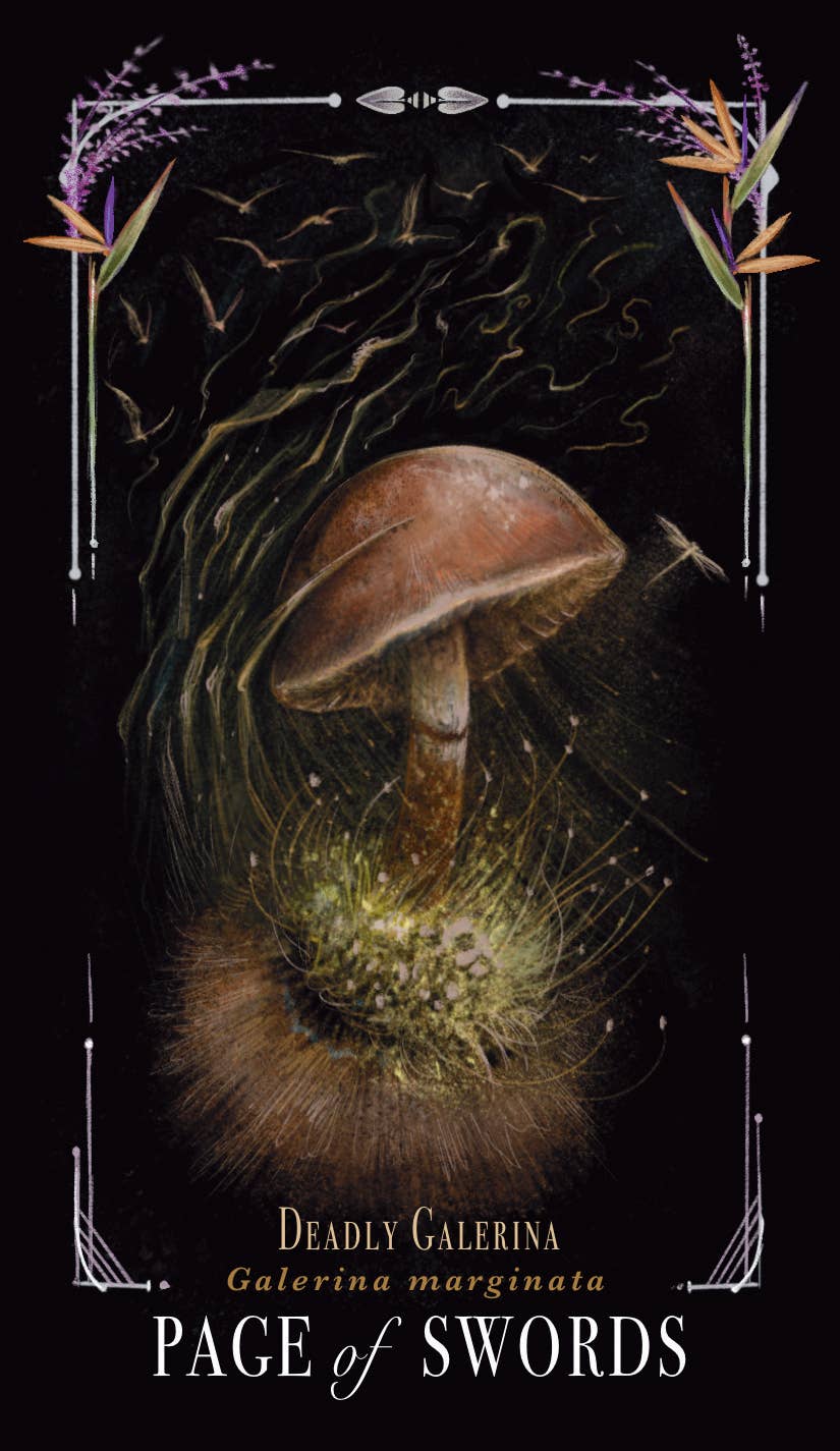 Midnight Magic Tarot by Sara Richard