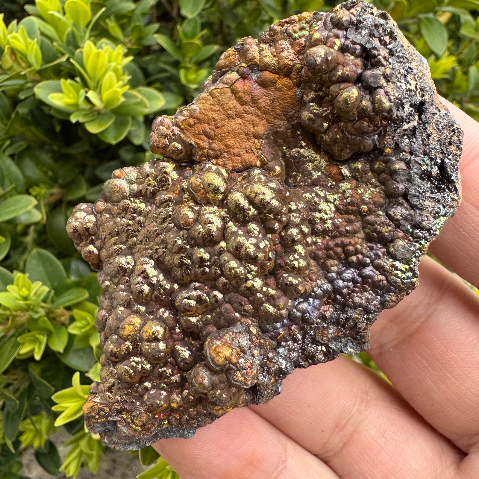 Natural Goethite Rough Crystals | Iridescent Metallic Rainbow Mineral Specimens for Grounding & Protection