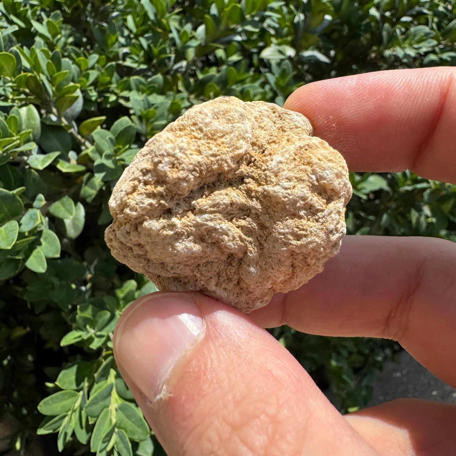 Crack Open Geode | Break into Real Surprise Crystals