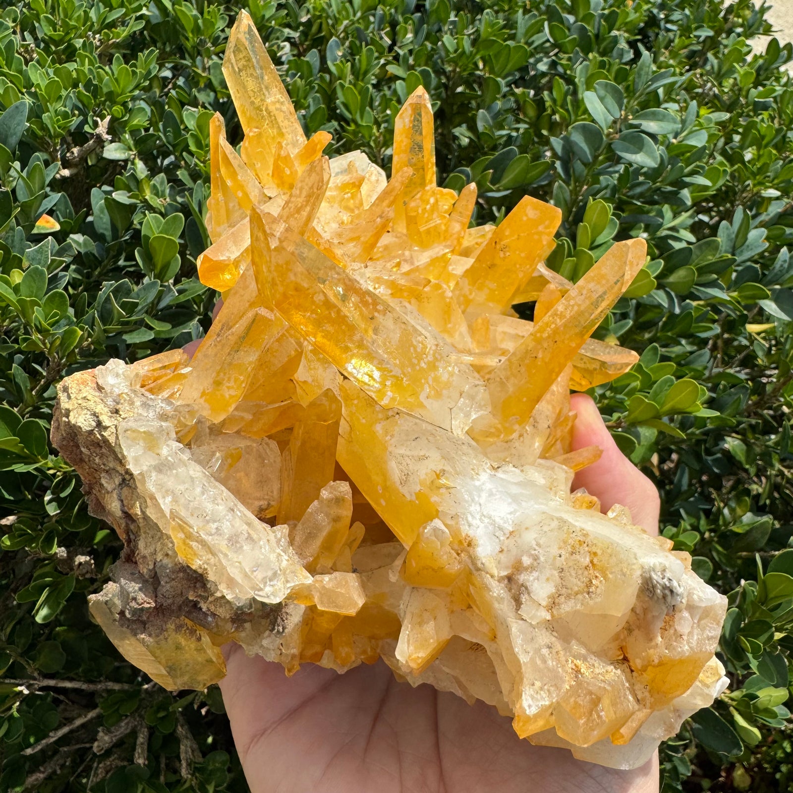 Iron Oxide Colombian Quartz Point Cluster | 1390g