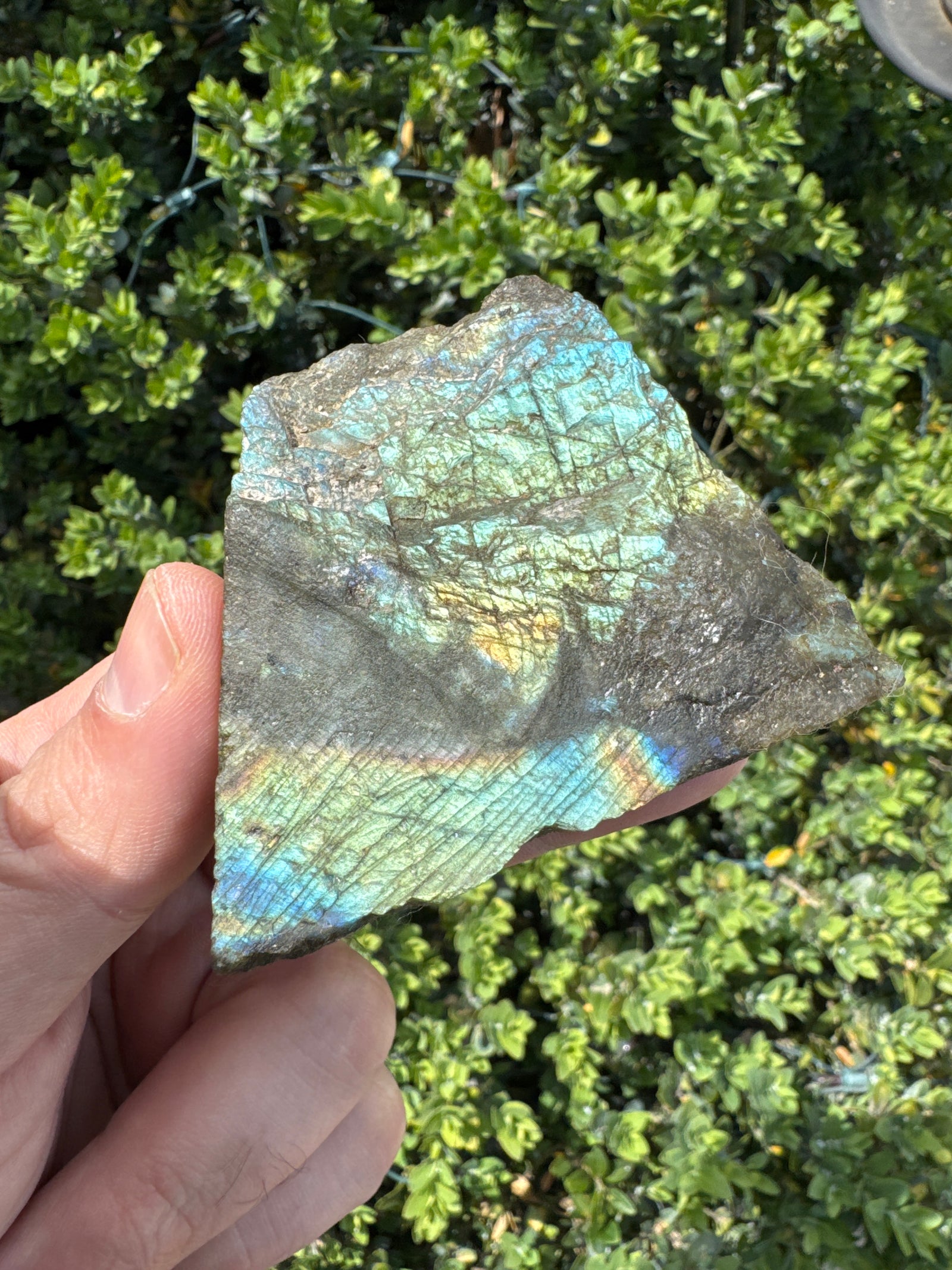 Polished Face Rough Labradorite Specimen