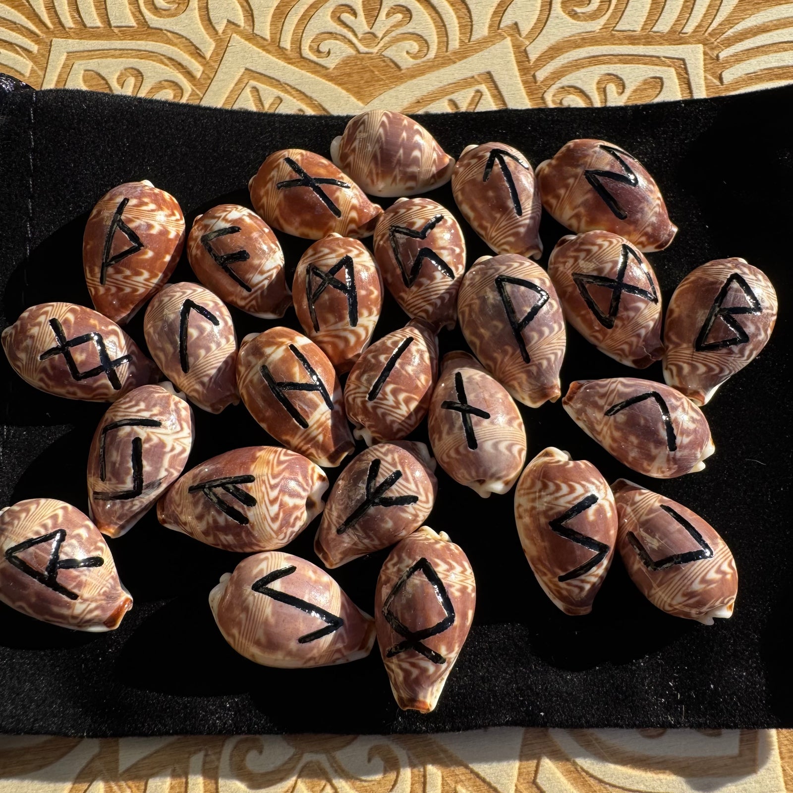 Cowrie Shell Rune Set of 25 β Hand-Engraved Natural Shell Runes