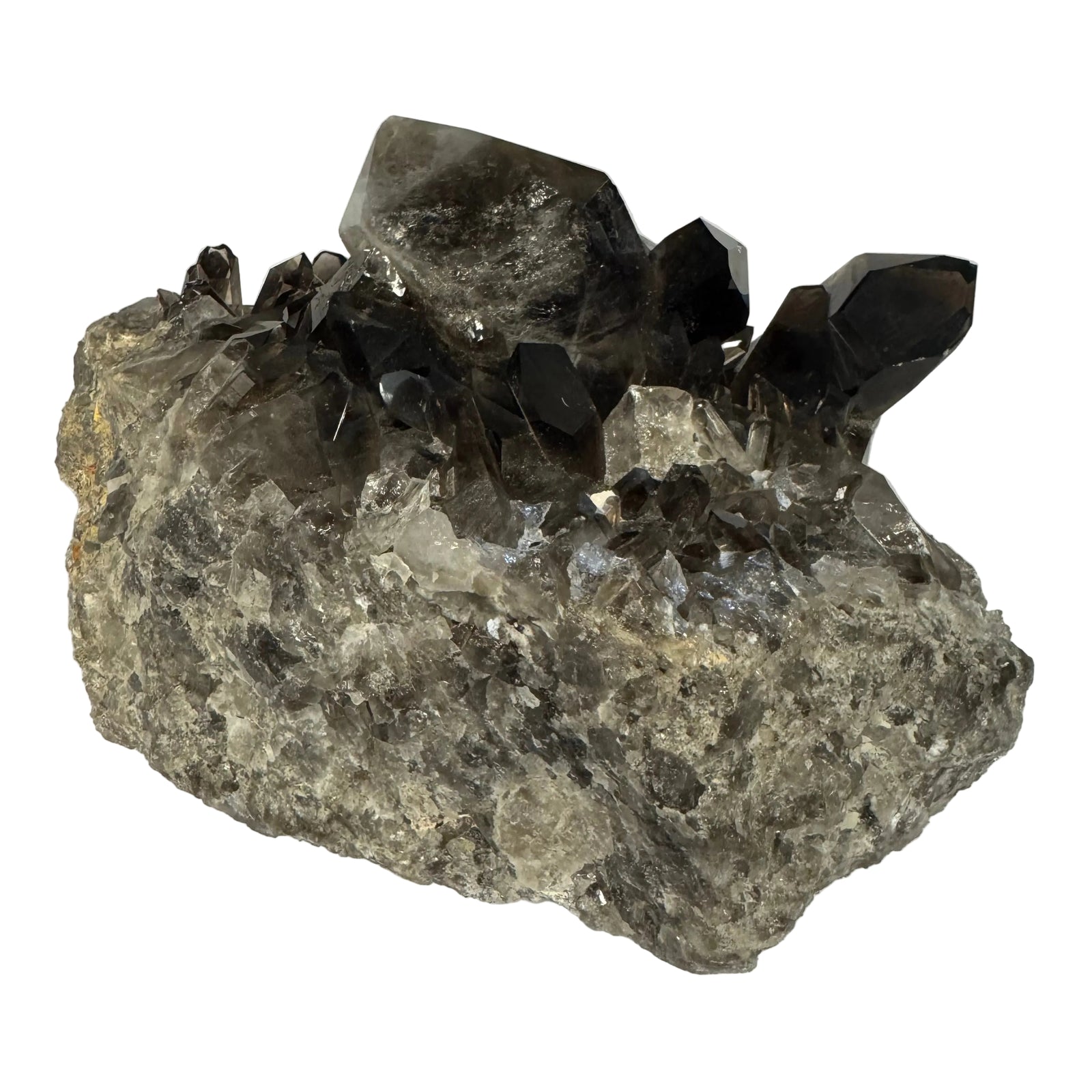 A natural smoky quartz crystal cluster with dark brown to black points rising from a mottled gray and translucent base, photographed on a white crinkled paper background.