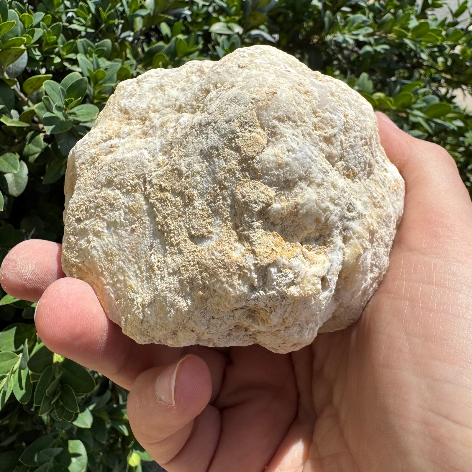 Crack Open Geode | Break into Real Surprise Crystals