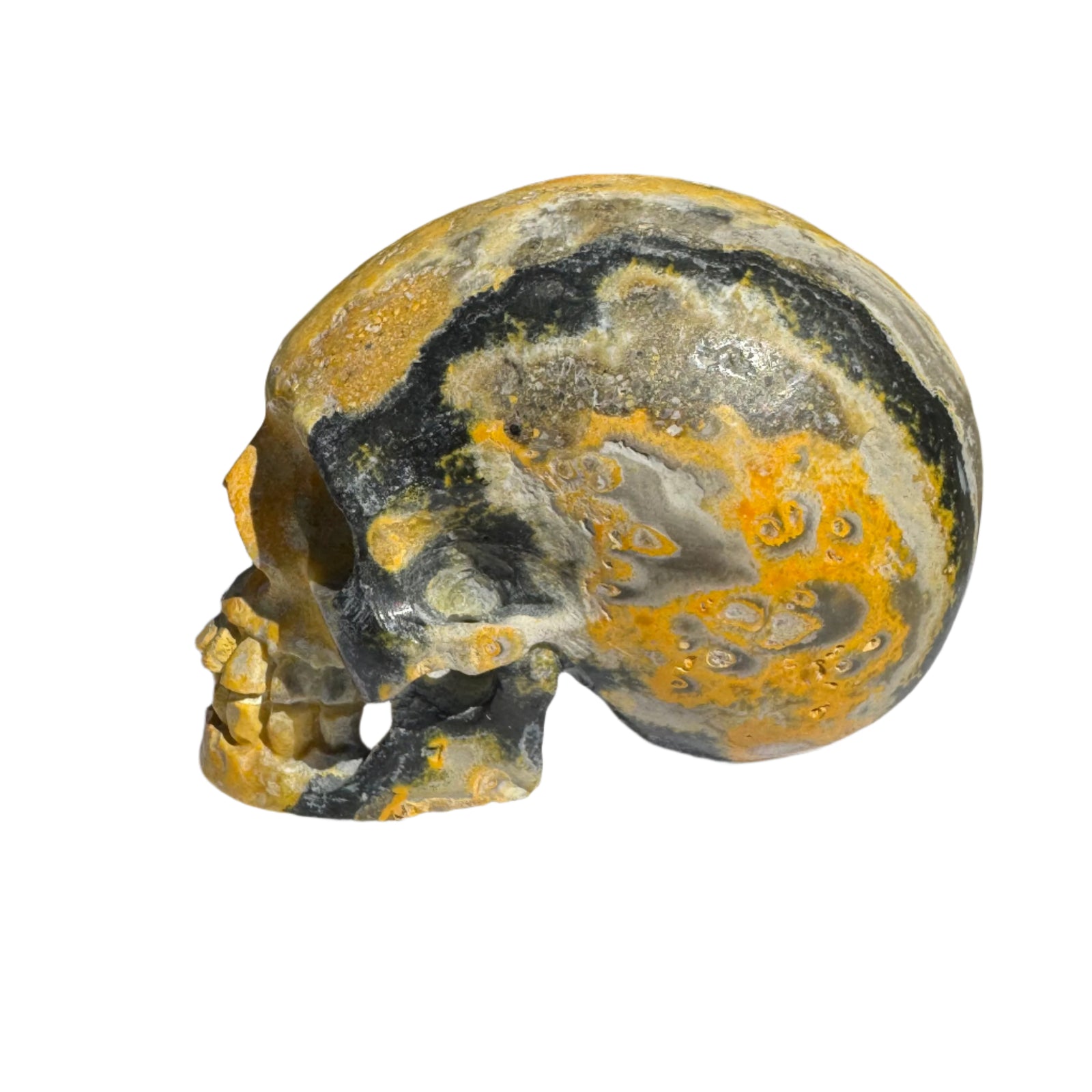 Bumblebee Jasper Natural Crystal Skull 3"