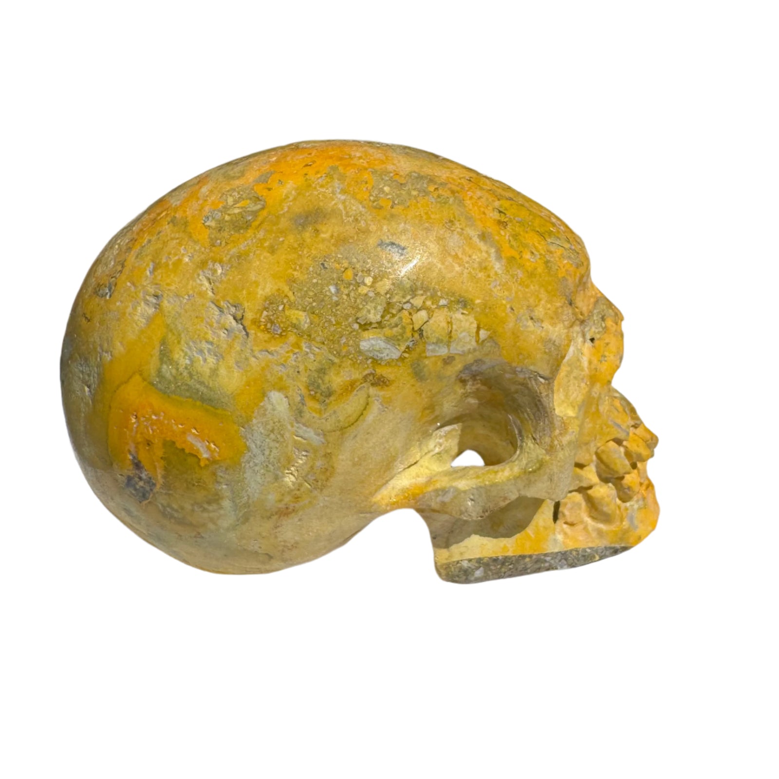 Bumblebee Jasper Natural Crystal Skull 3"