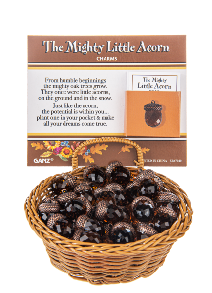 Mighty Little Acorn Pocket Token