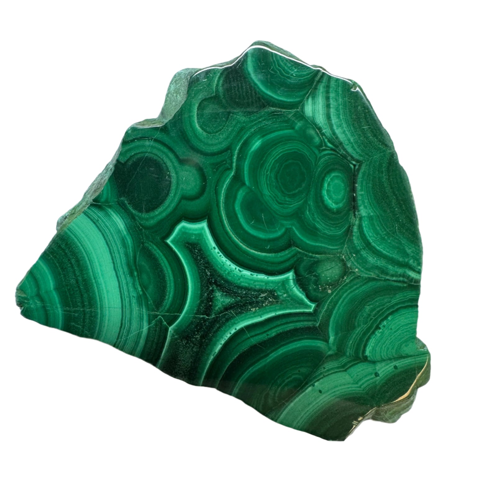Polished Malachite Slice Specimen | Protection & Confidence