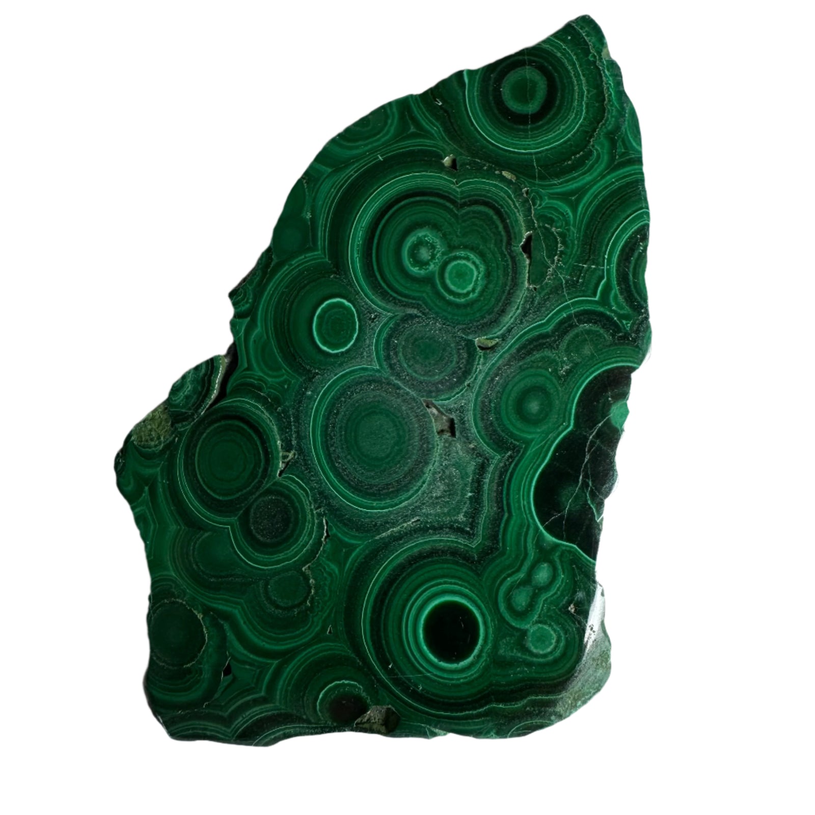 Polished Malachite Slice Specimen | Protection & Confidence