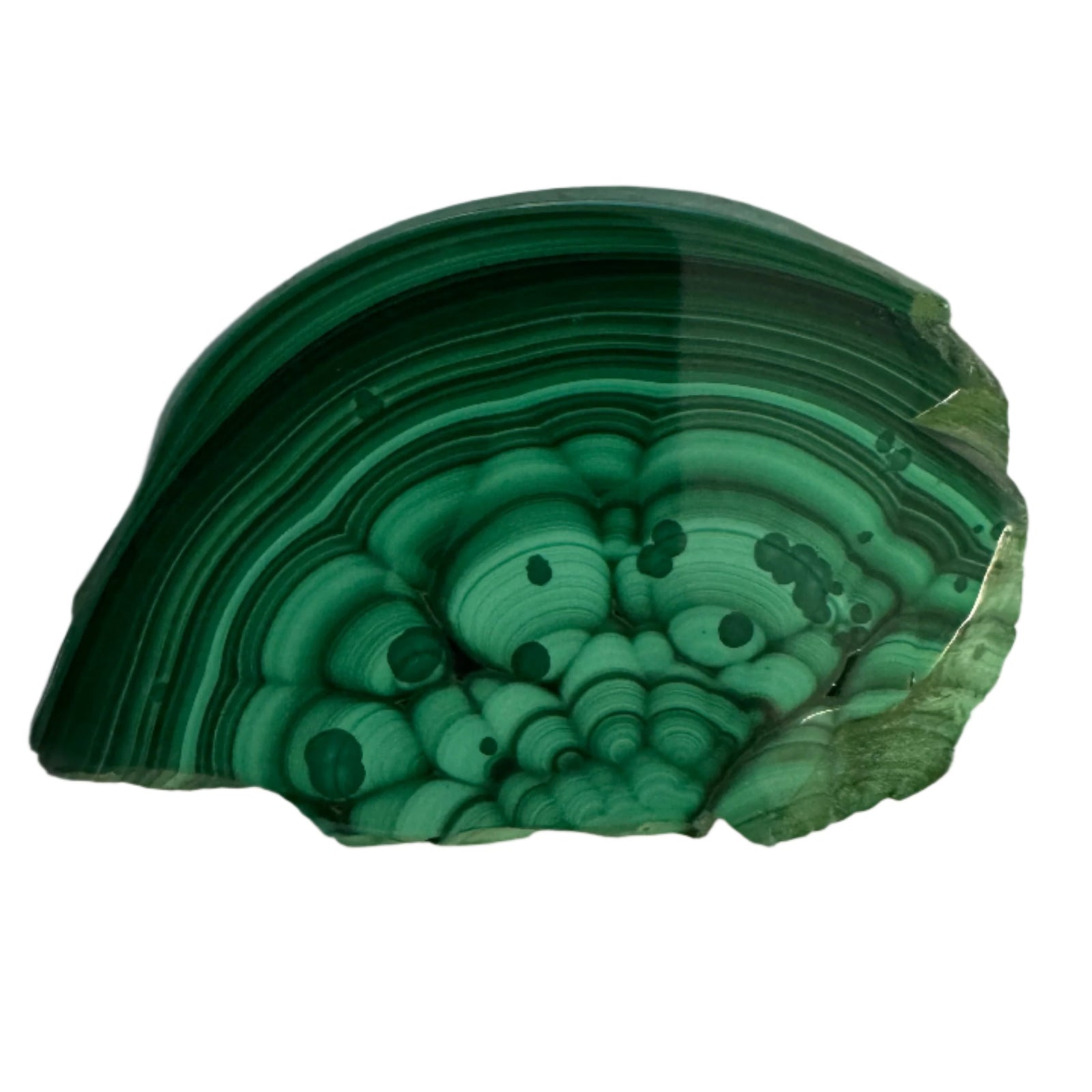 Polished Malachite Slice Specimen | Protection & Confidence