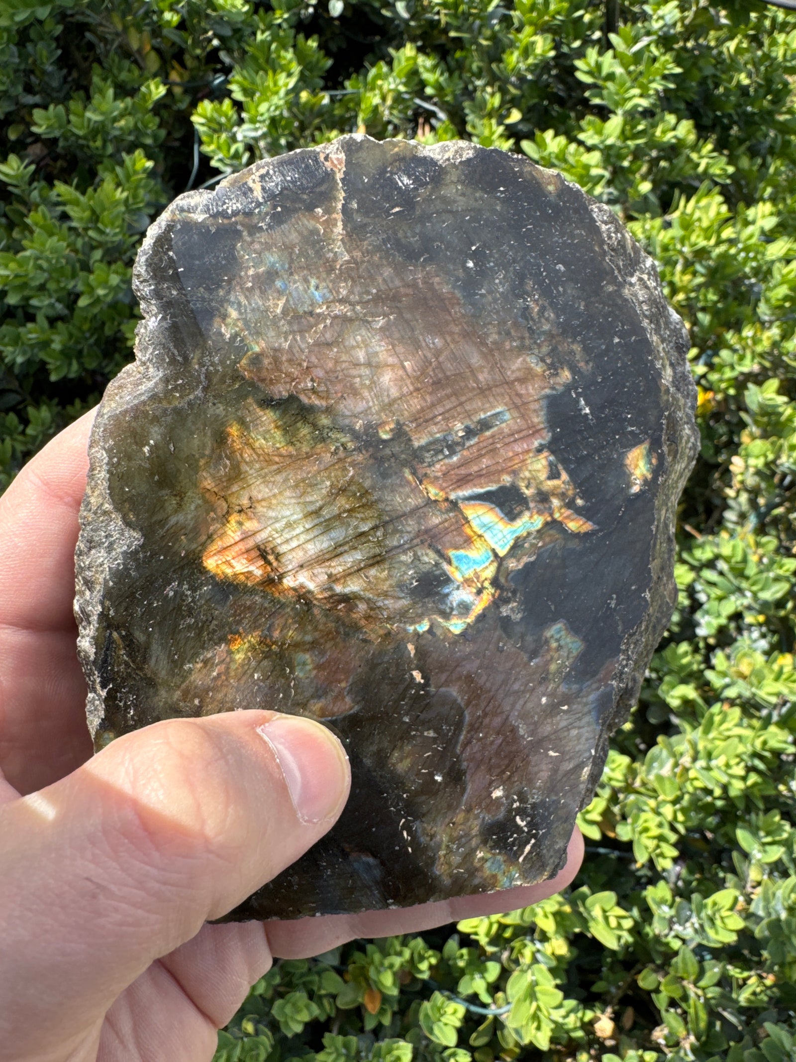 Polished Face Rough Labradorite Specimen