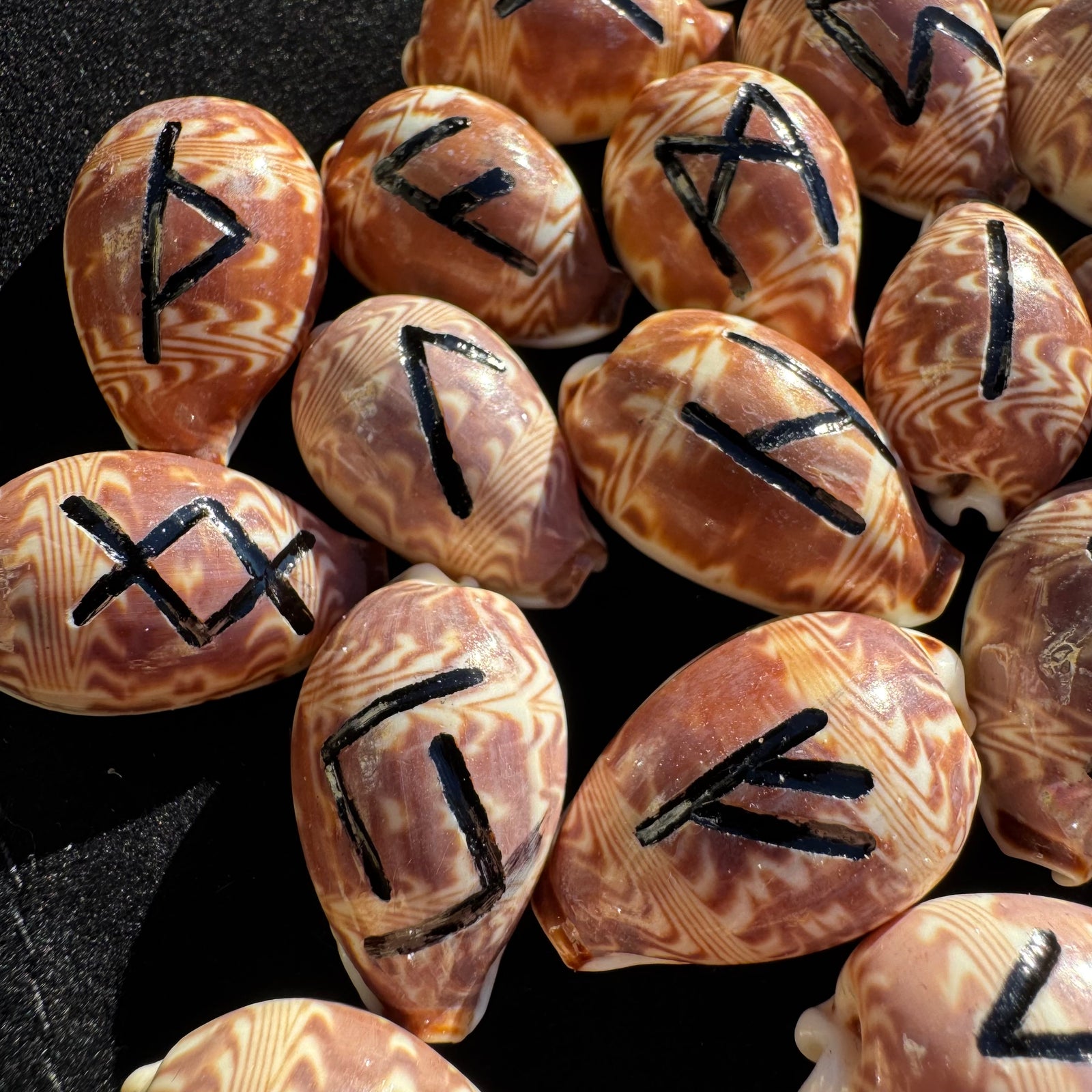 Cowrie Shell Rune Set of 25 β Hand-Engraved Natural Shell Runes