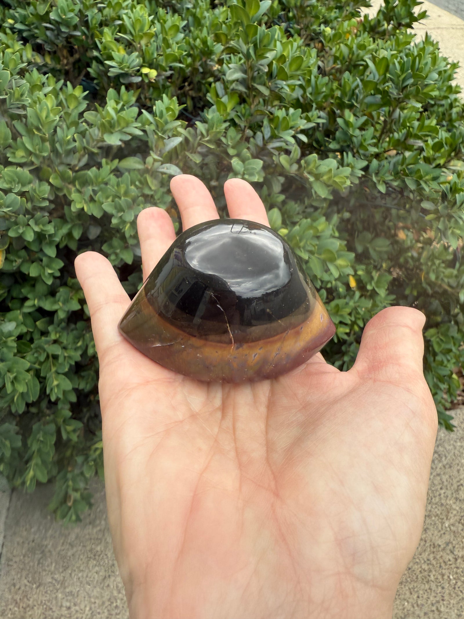 Hand holding a polished stone against a green bush background