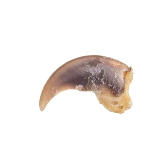 Claws, Jaws, and Such