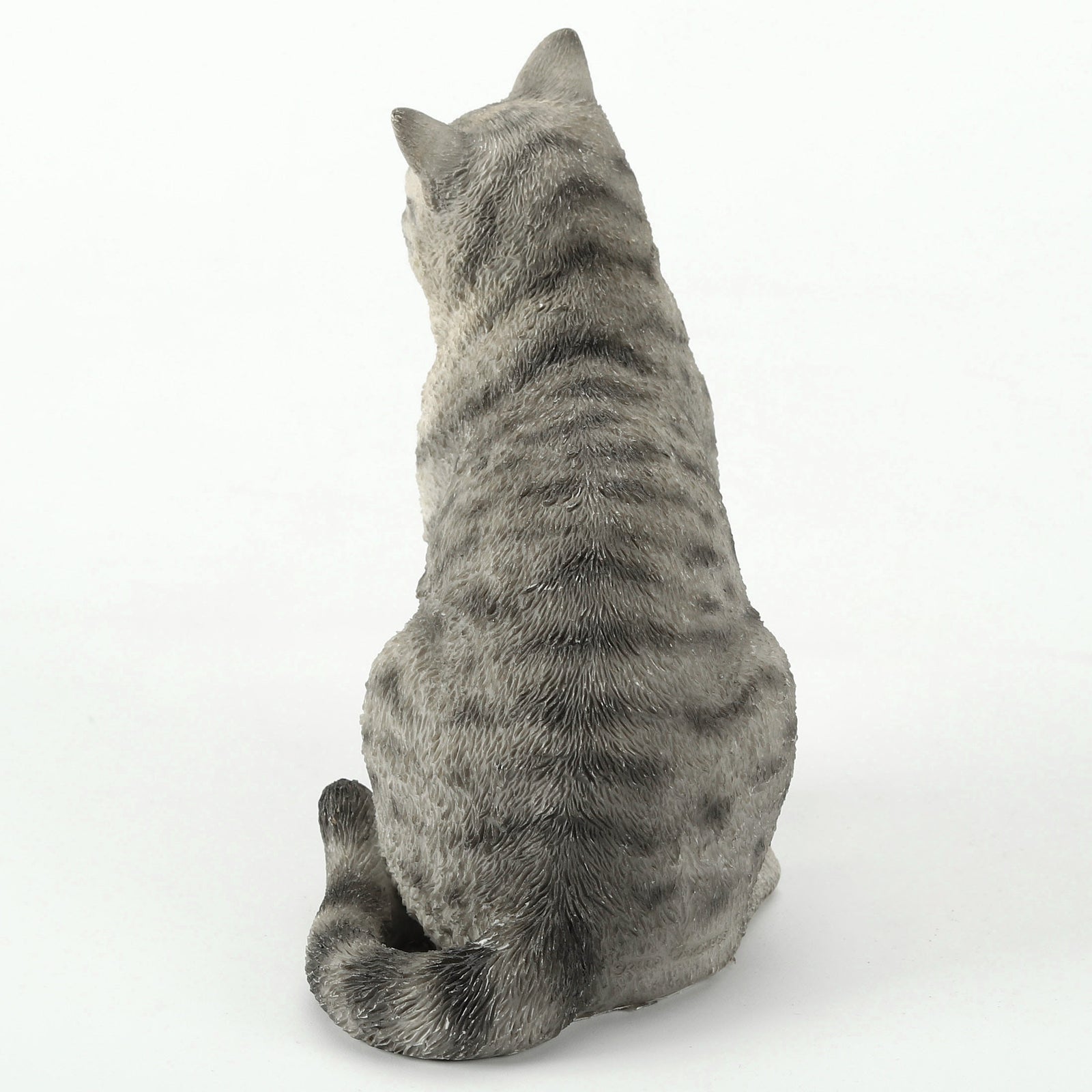 American Shorthair Tabby - Spotted Gray