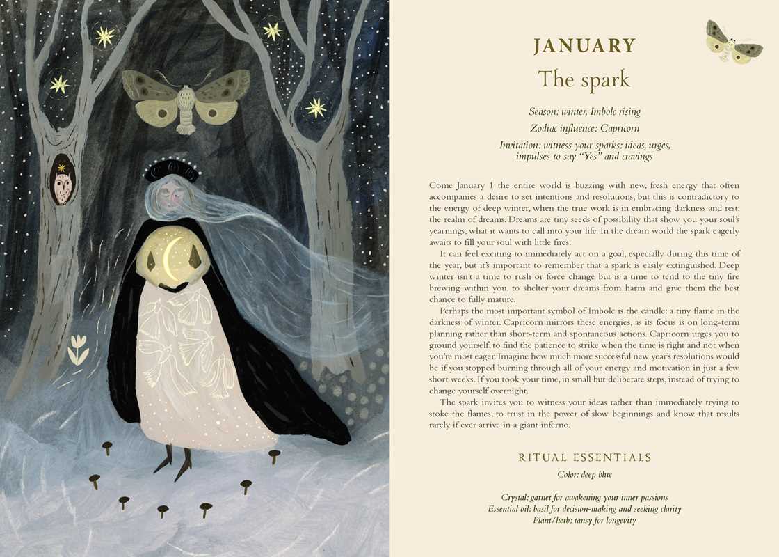 2027 Seasons of the Witch Planner Calendar – Daily Tarot, Ritual & Self-Discovery for a Magical Year